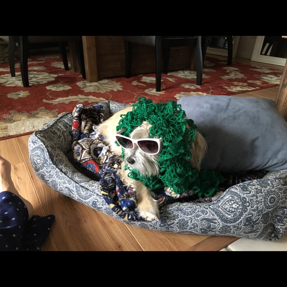 Meet your Posher, Tracy